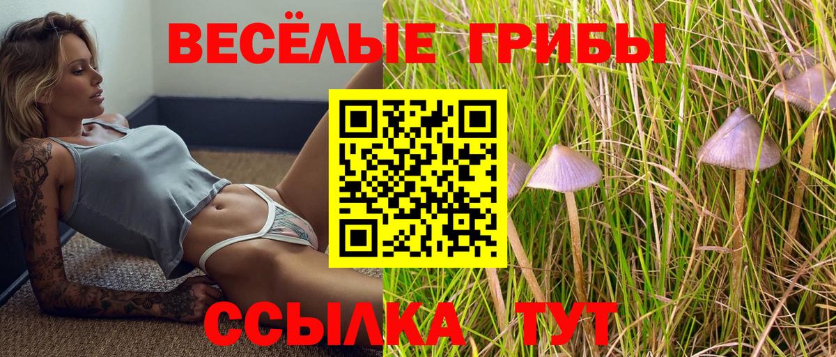 Учалы  дарнет шоп  Вход с VPN  Псилоцибиновые грибы Magic Shrooms 