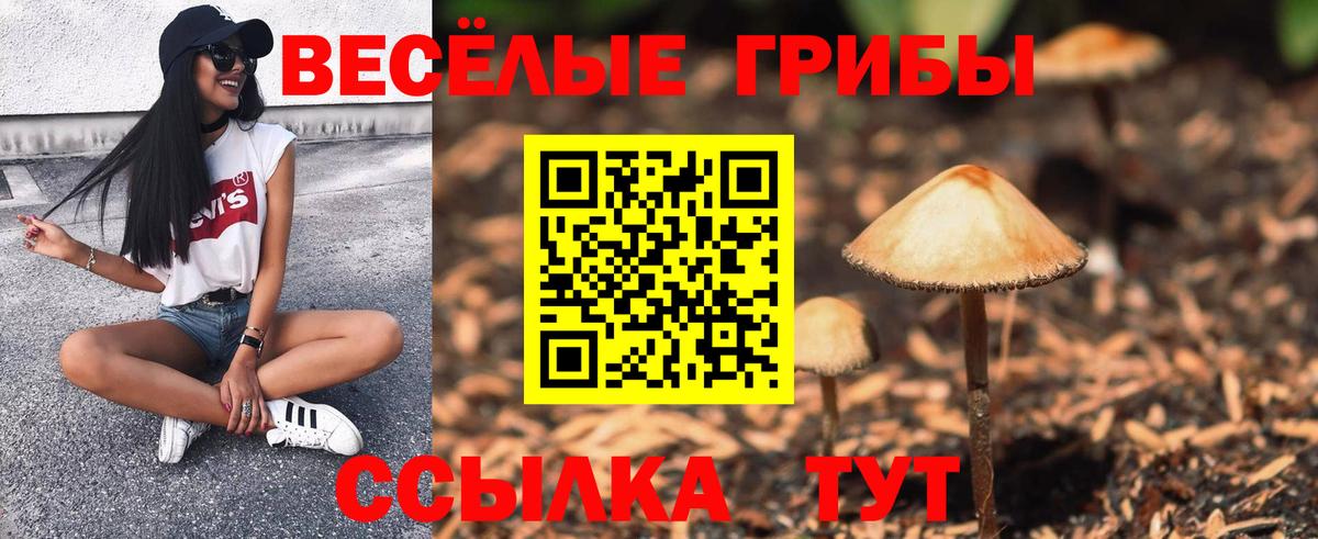 Галлюциногенные грибы GOLDEN TEACHER Учалы